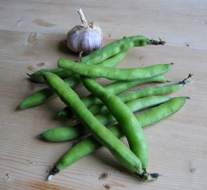 Broad beans and garlic